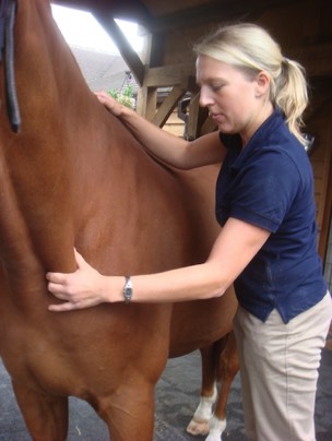 Sarah treating a horse