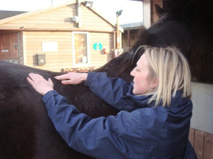 Sarah treating a horse