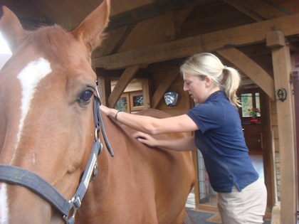 sarah working on a horse