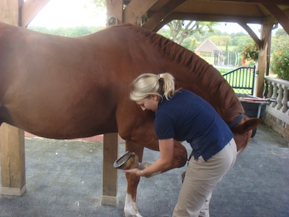 Sarah working on a horse